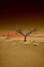 sossusvlei.jpg